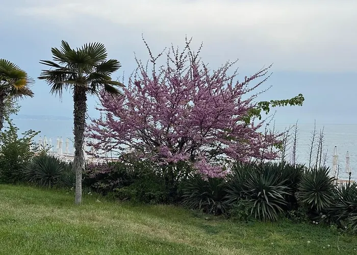 Seaview - 10 Meters To The Varna