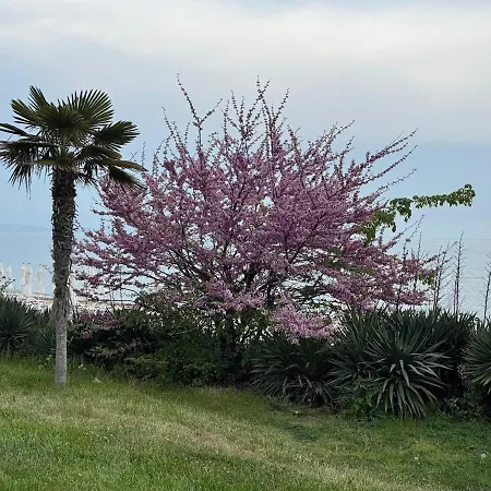 Seaview - 10 Meters To The ヴァルナ